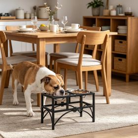 Heavy Duty Double Dog Food Bowl 17 Inch Stainless Steel Elevated Pet Feeding Station for Dogs